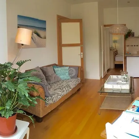 Hébergement de vacances In With Swimming Pool Zandvoort