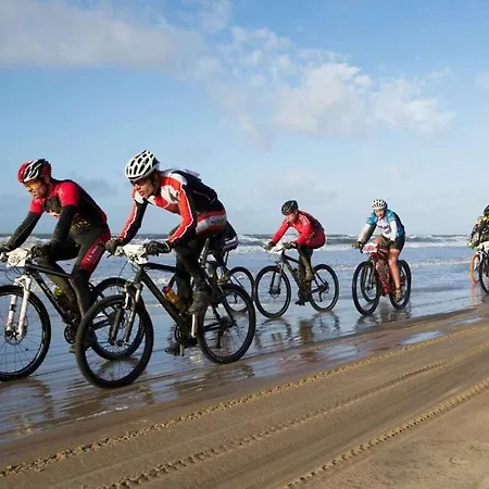 In With Swimming Pool Hébergement de vacances Zandvoort